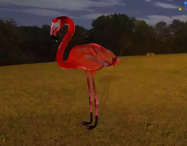 Flamingo in field at night 3D model