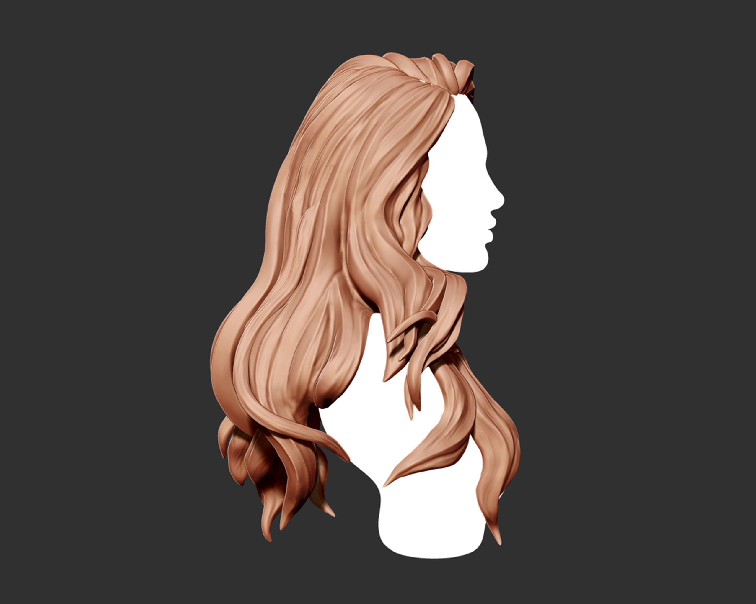 Hairstyle 01 3D print model_3