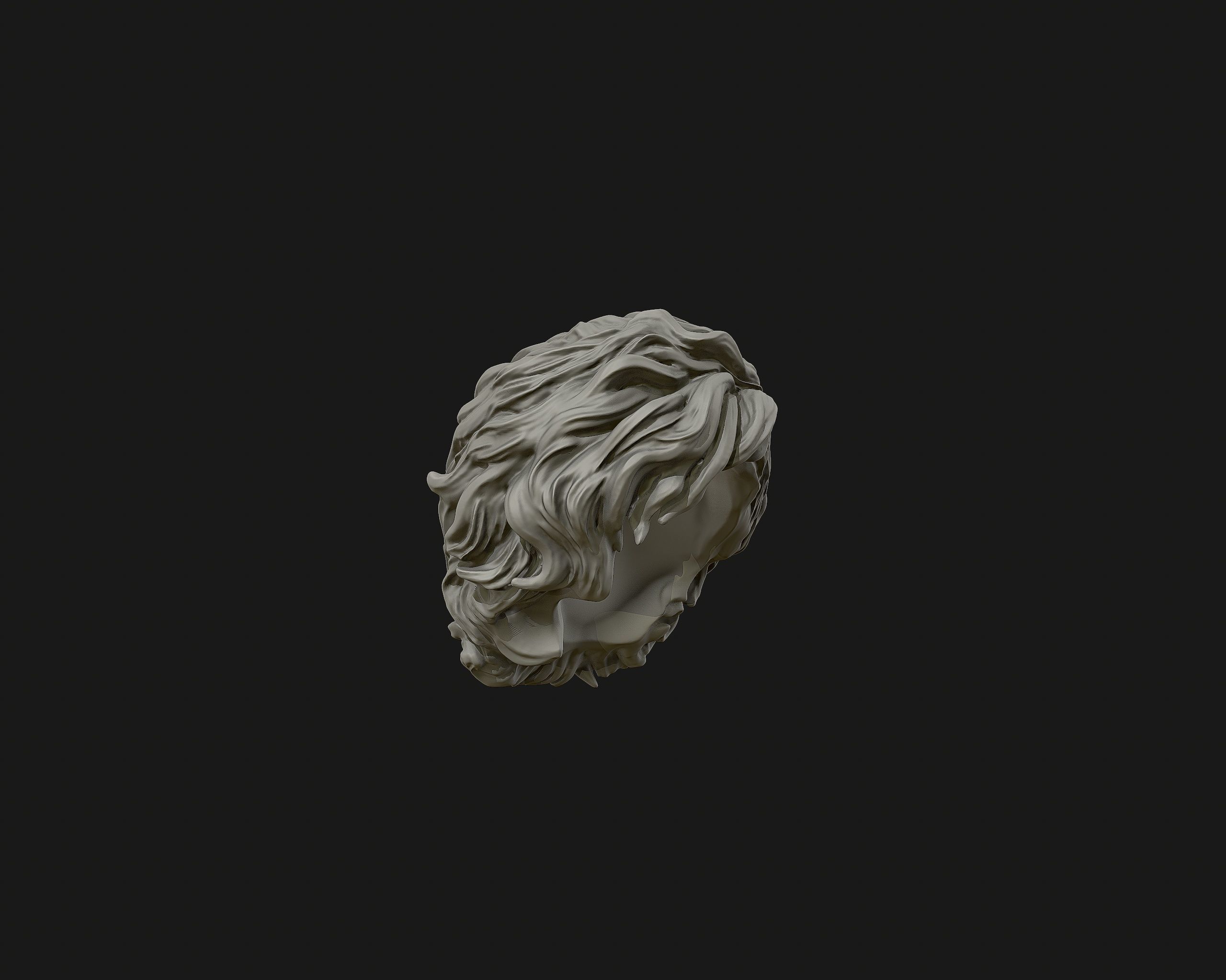 Hairstyle 02 3D print model_14
