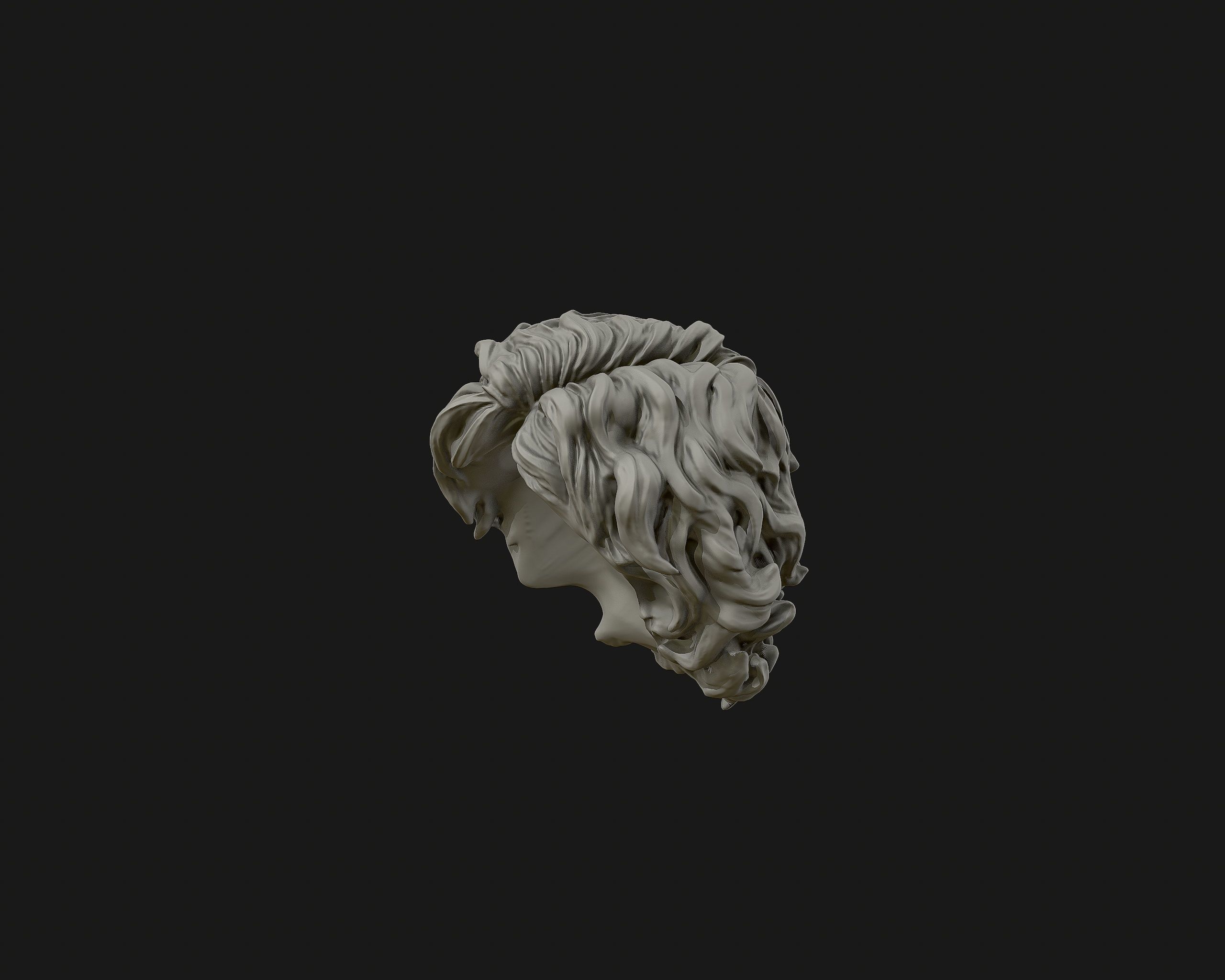 Hairstyle 02 3D print model_9