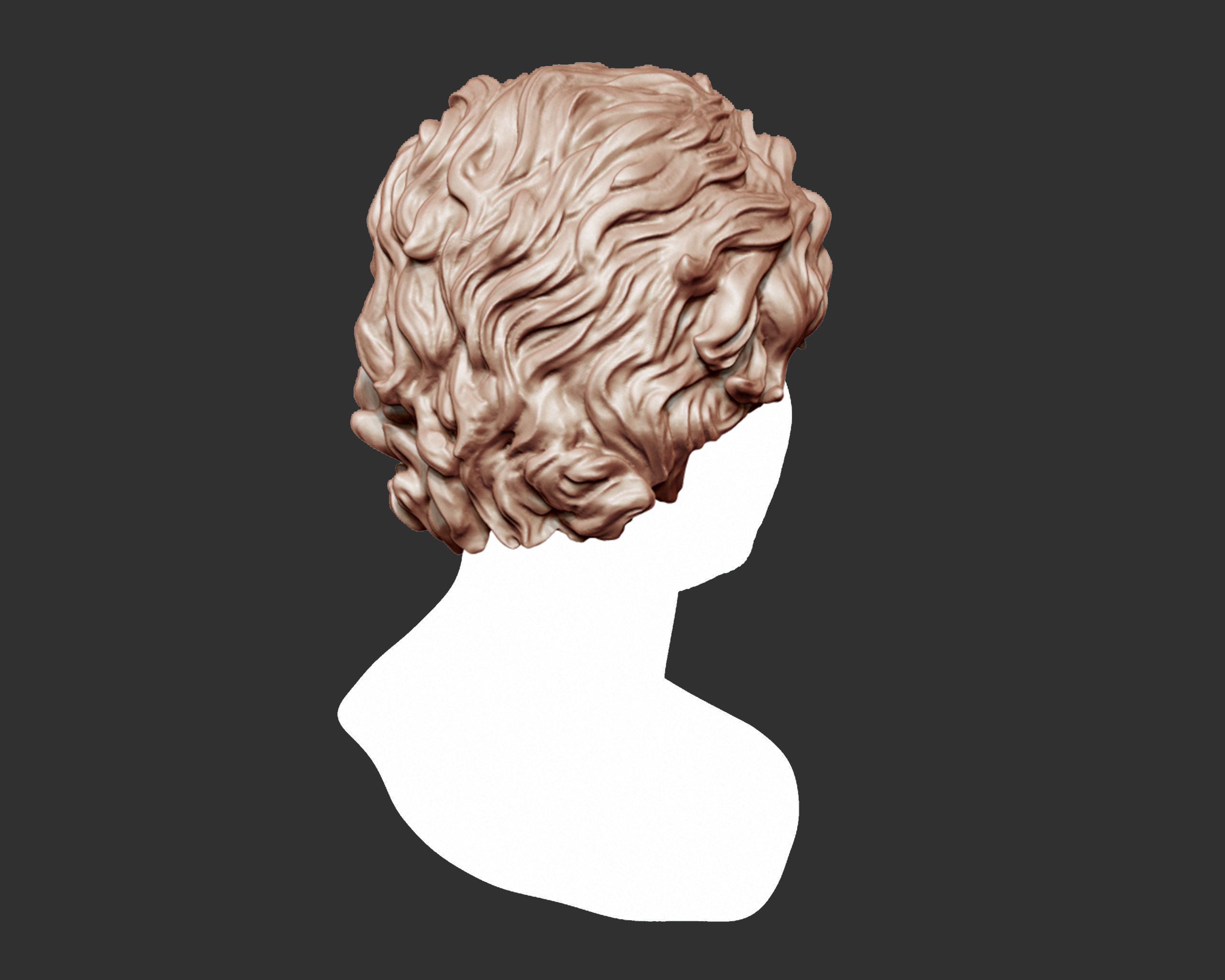 Hairstyle 02 3D print model_3