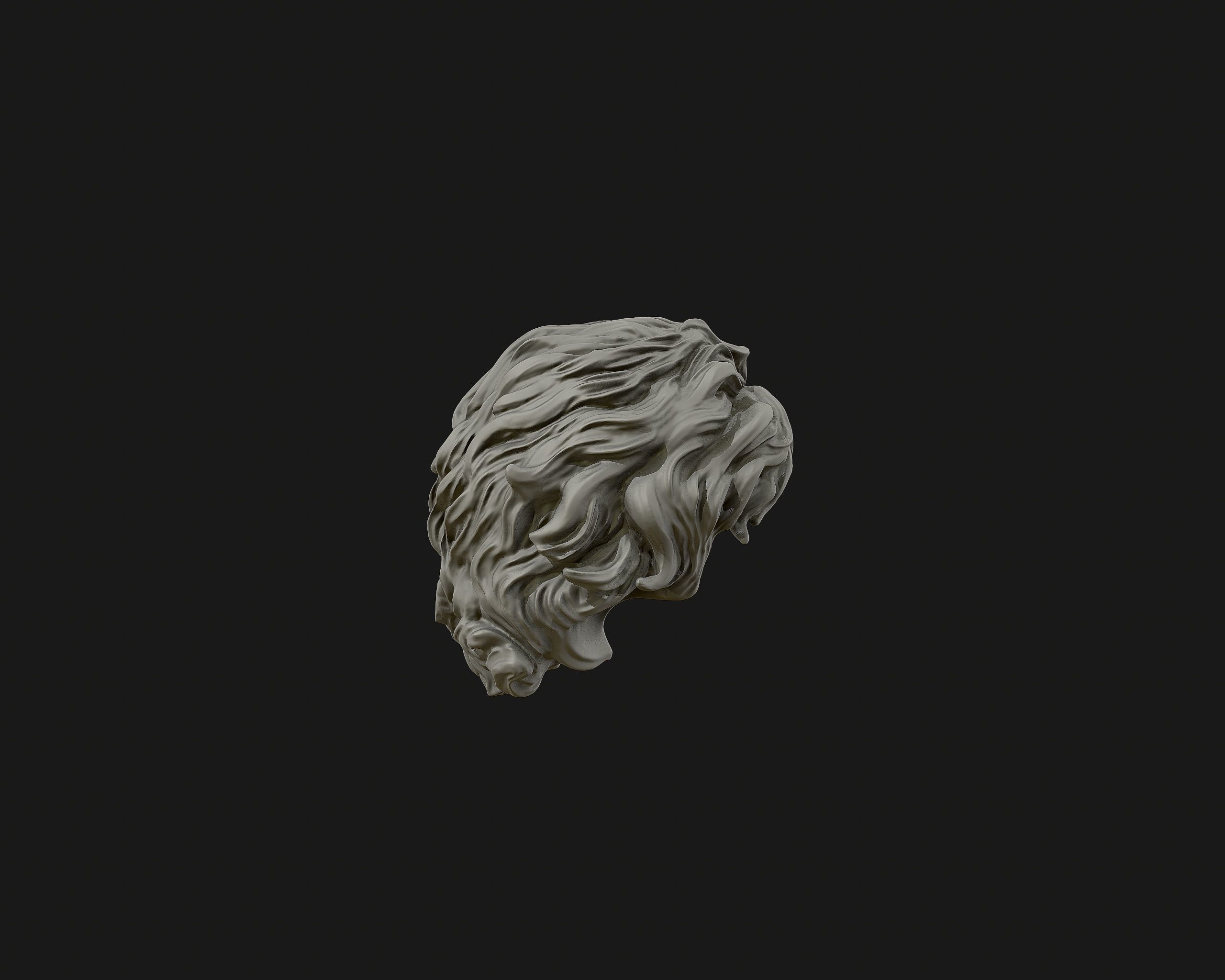 Hairstyle 02 3D print model_13