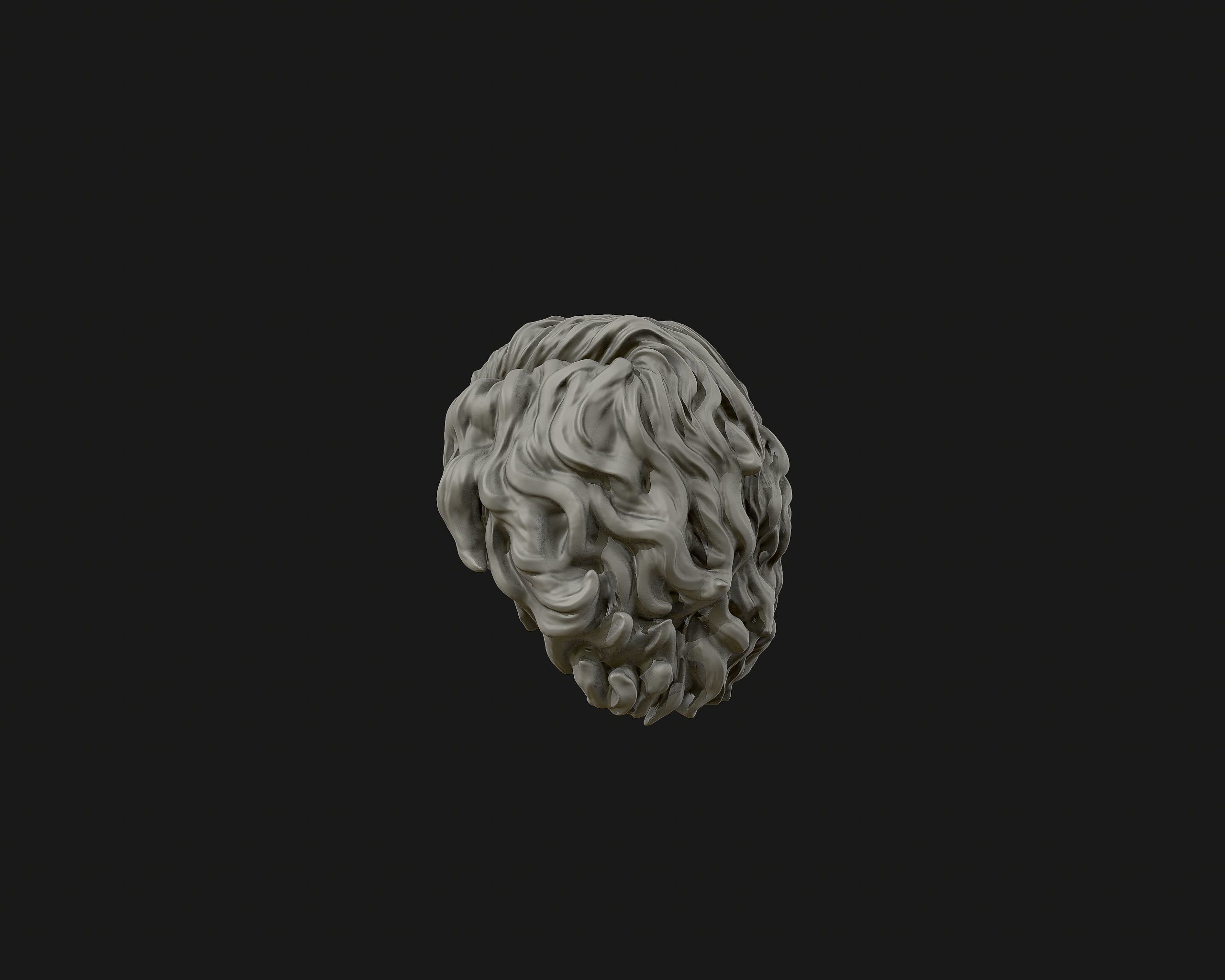 Hairstyle 02 3D print model_10