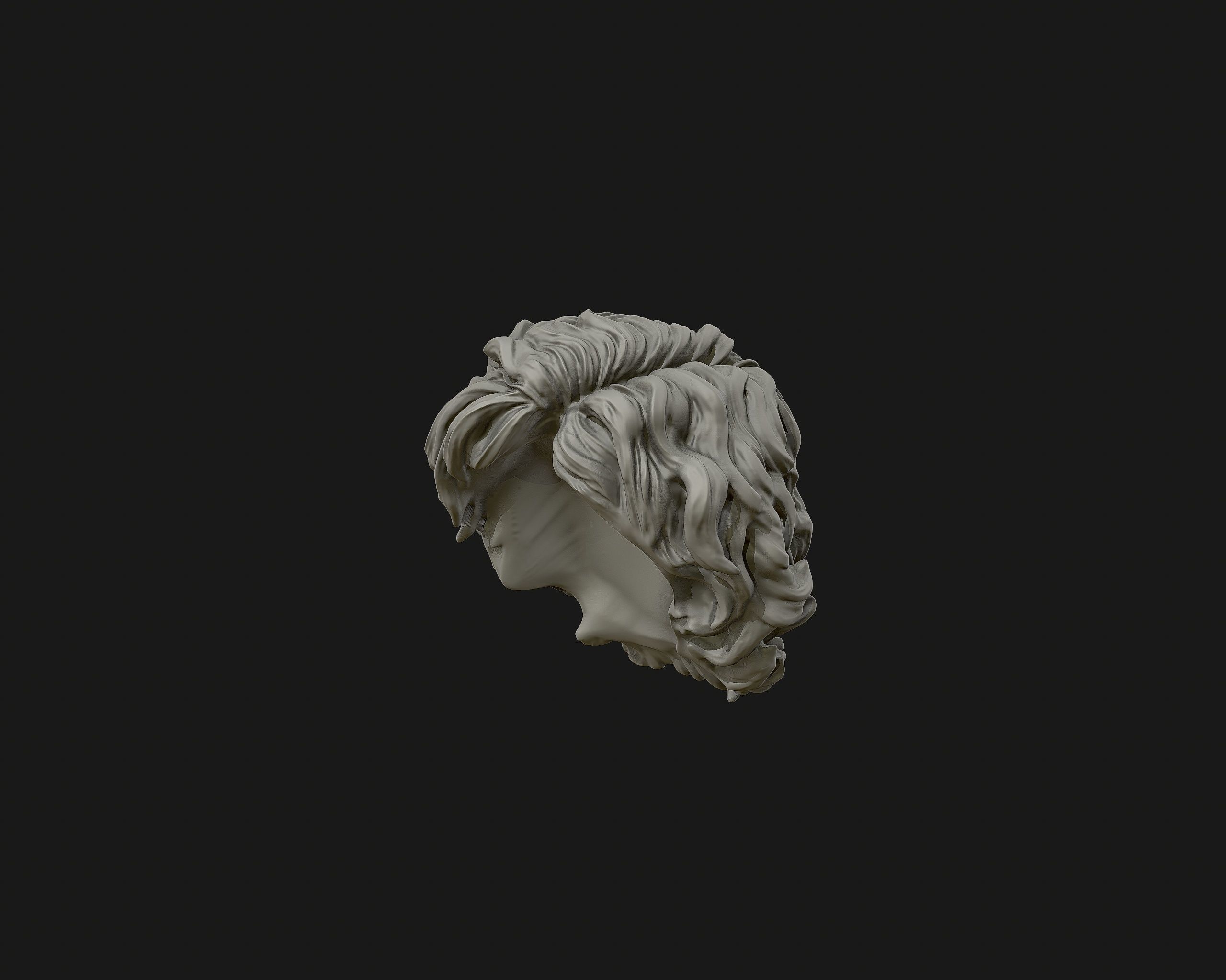 Hairstyle 02 3D print model_8