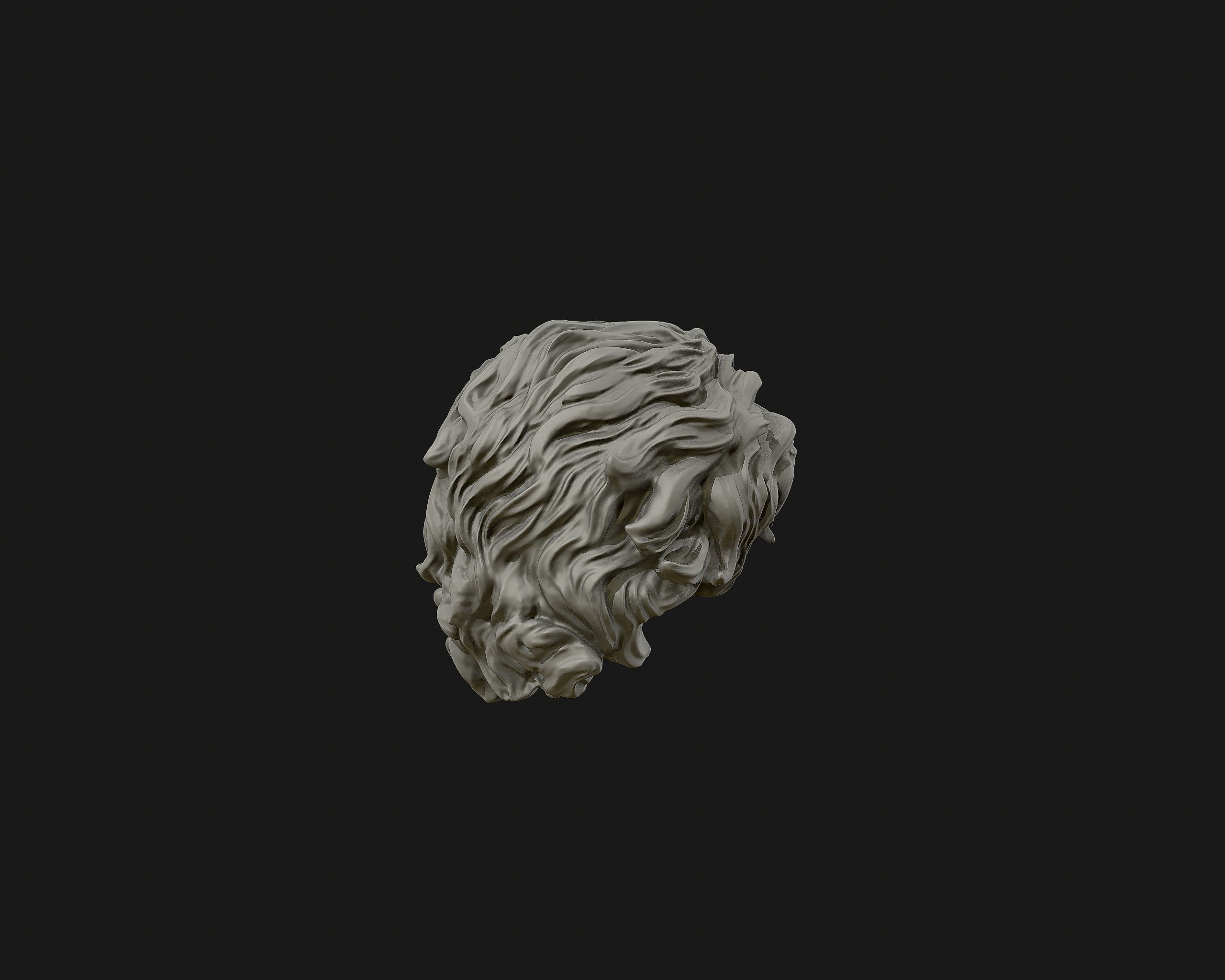 Hairstyle 02 3D print model_12