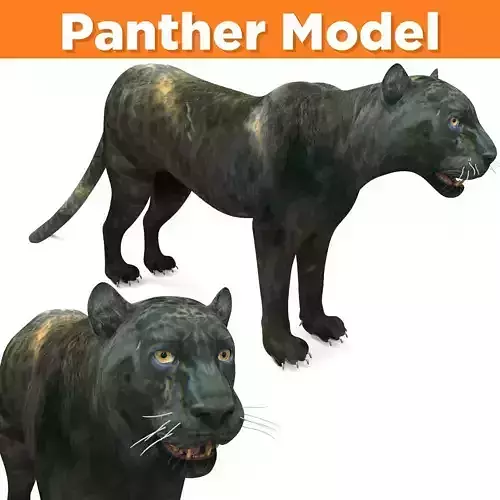 Panther 3D Models game ready low poly model Low-poly 3D model