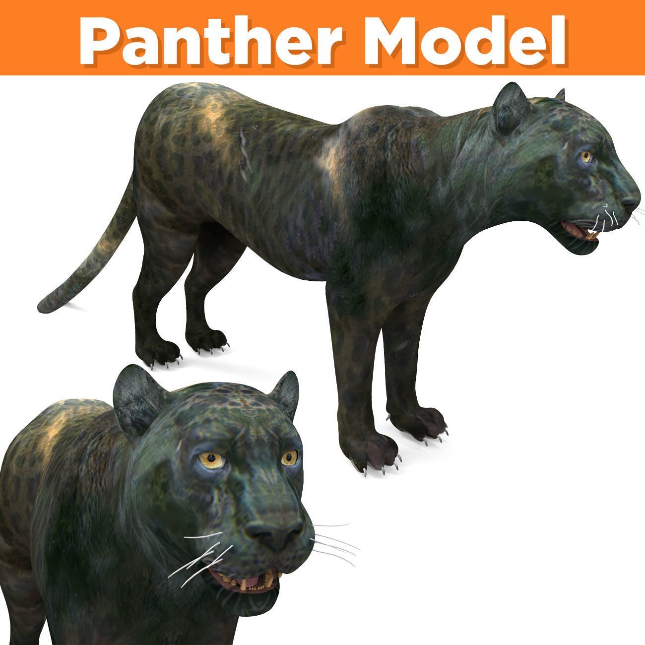 Panther 3D Models game ready low poly model