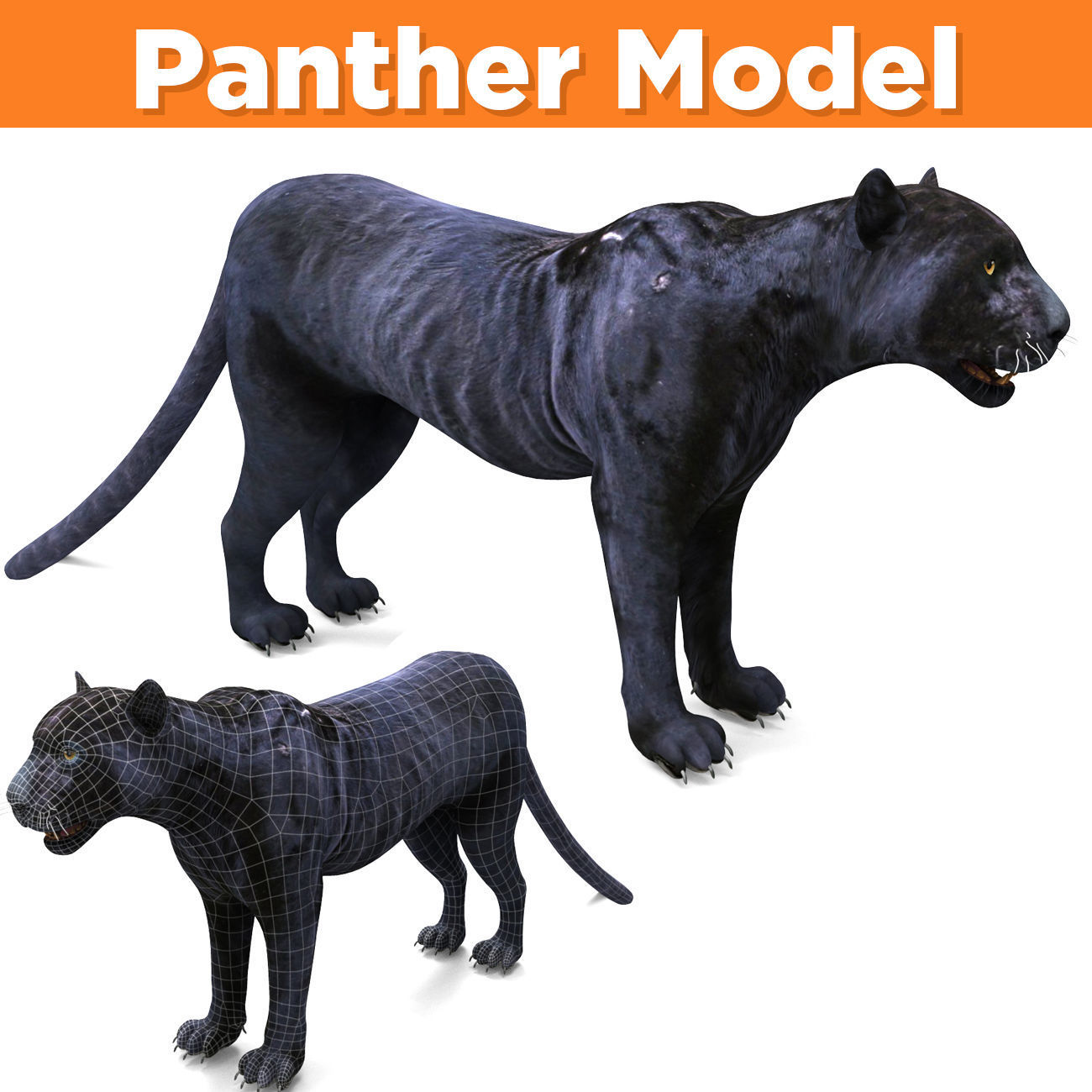 Black Panther 3D Models game ready