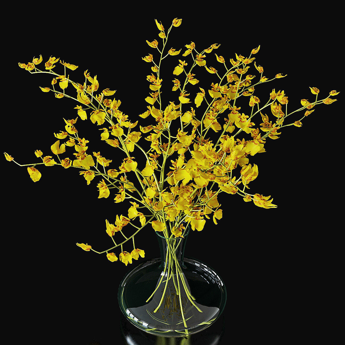 Orchid oncidium 3D model_4