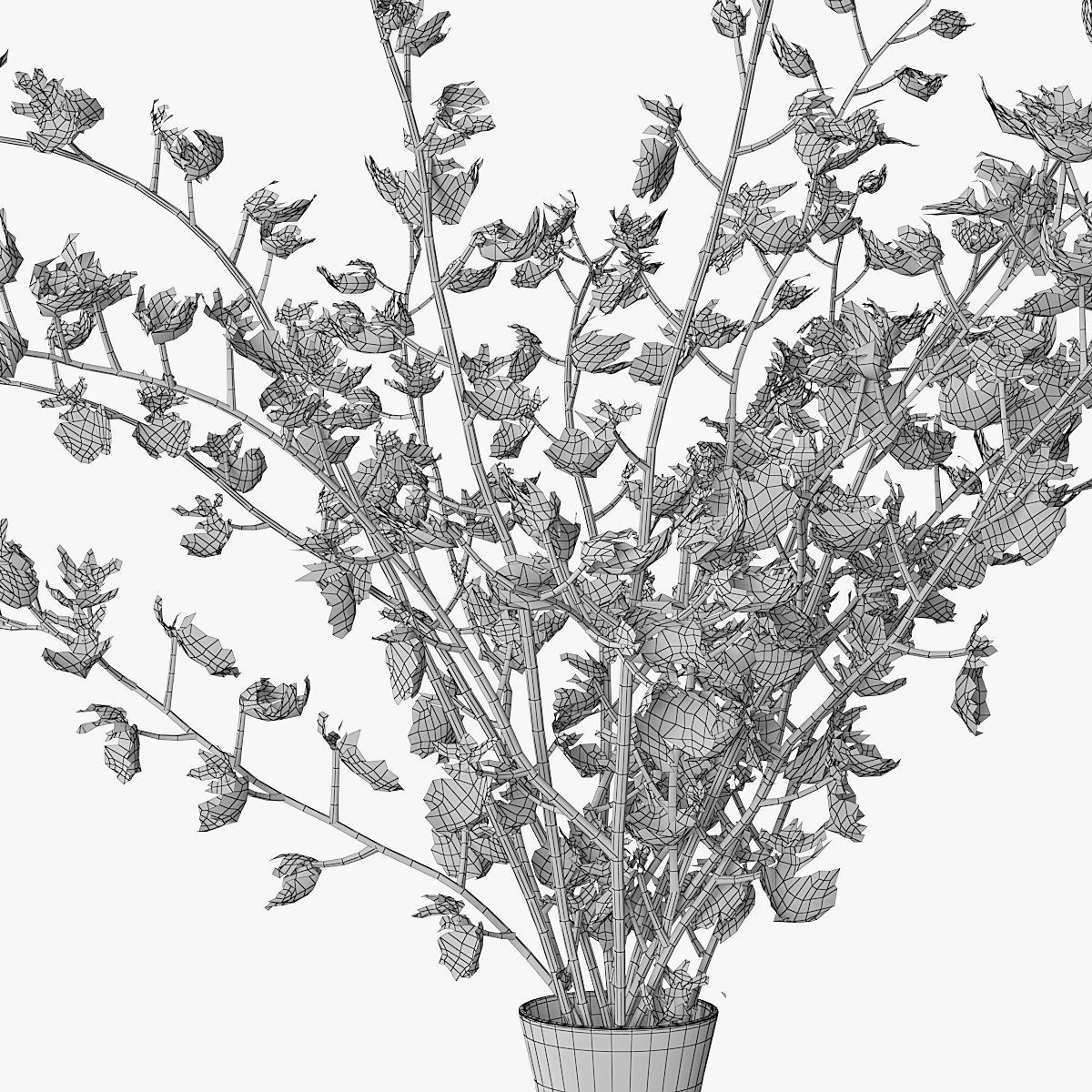 Orchid oncidium 3D model_14