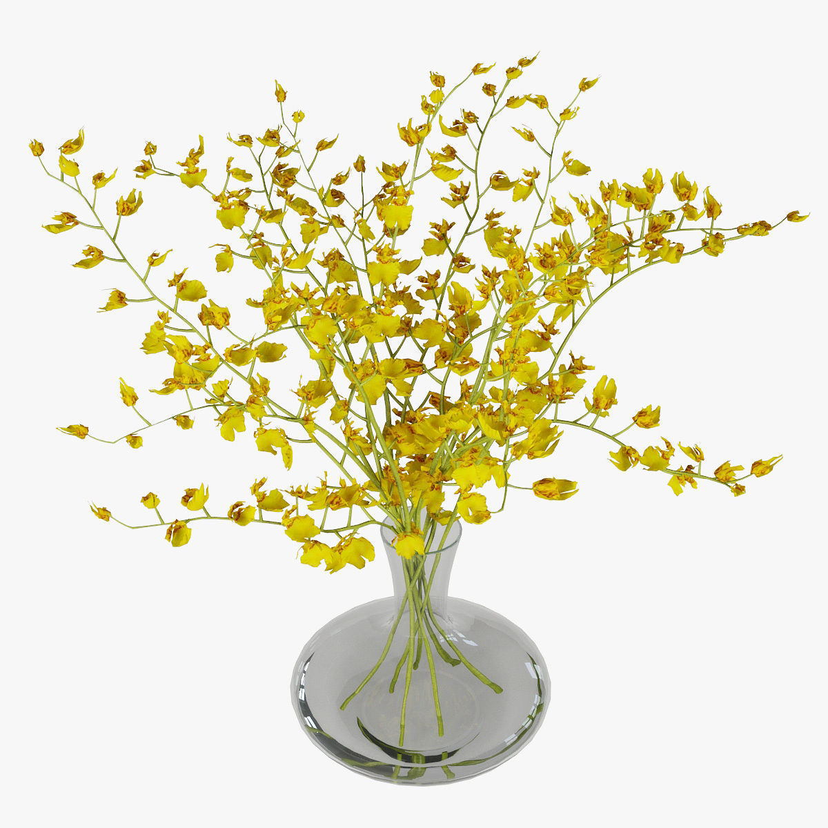 Orchid oncidium 3D model_11