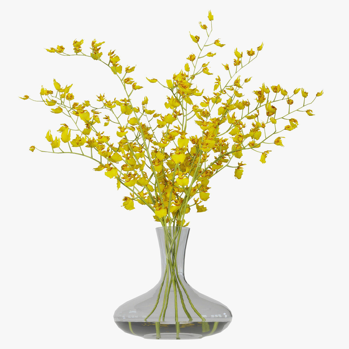 Orchid oncidium 3D model_12