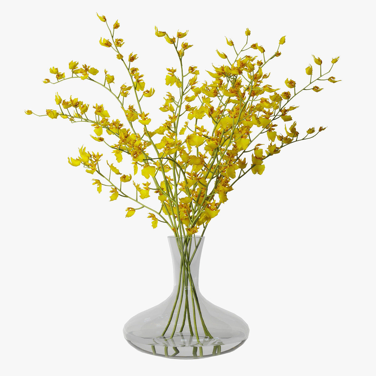 Orchid oncidium 3D model_6