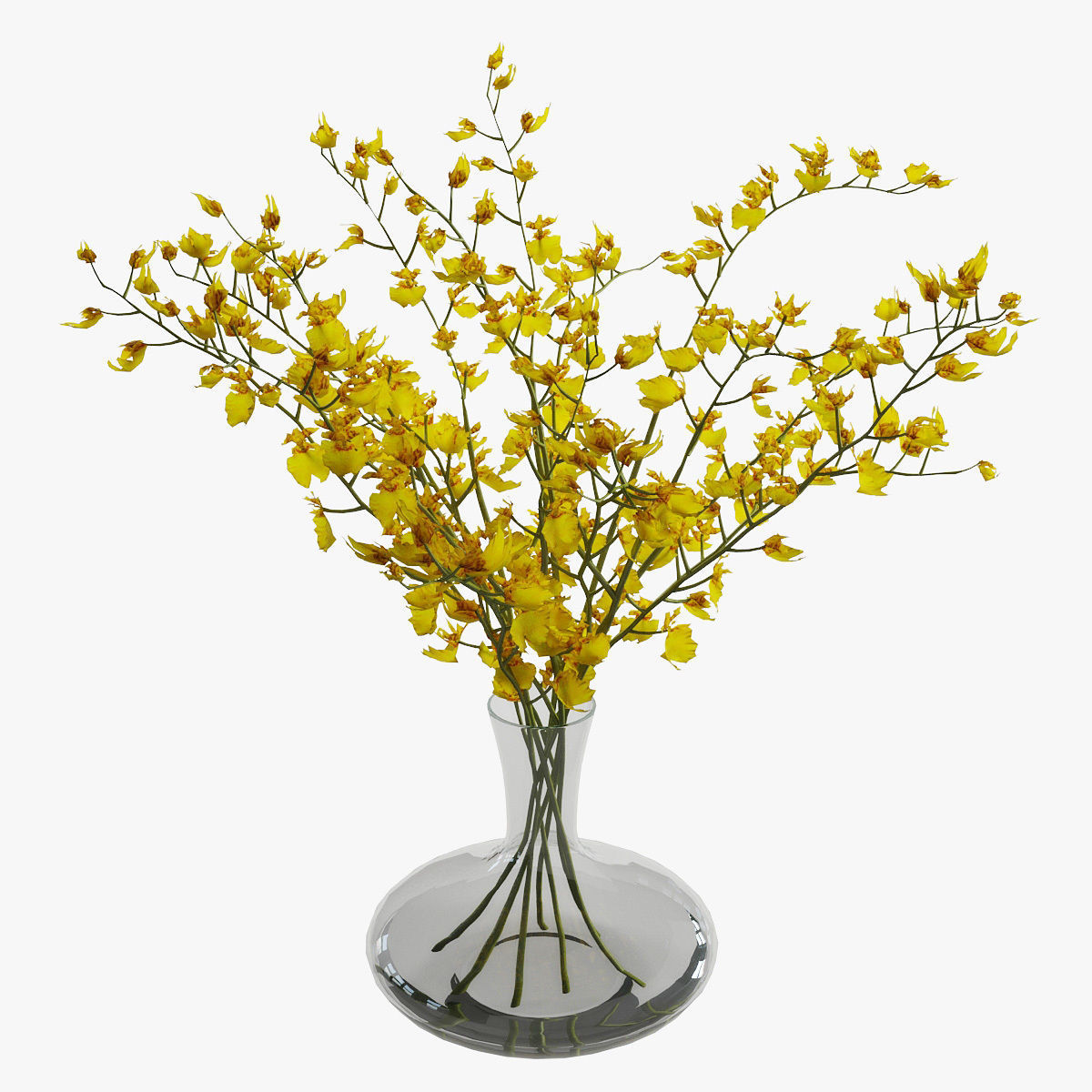 Orchid oncidium 3D model_9