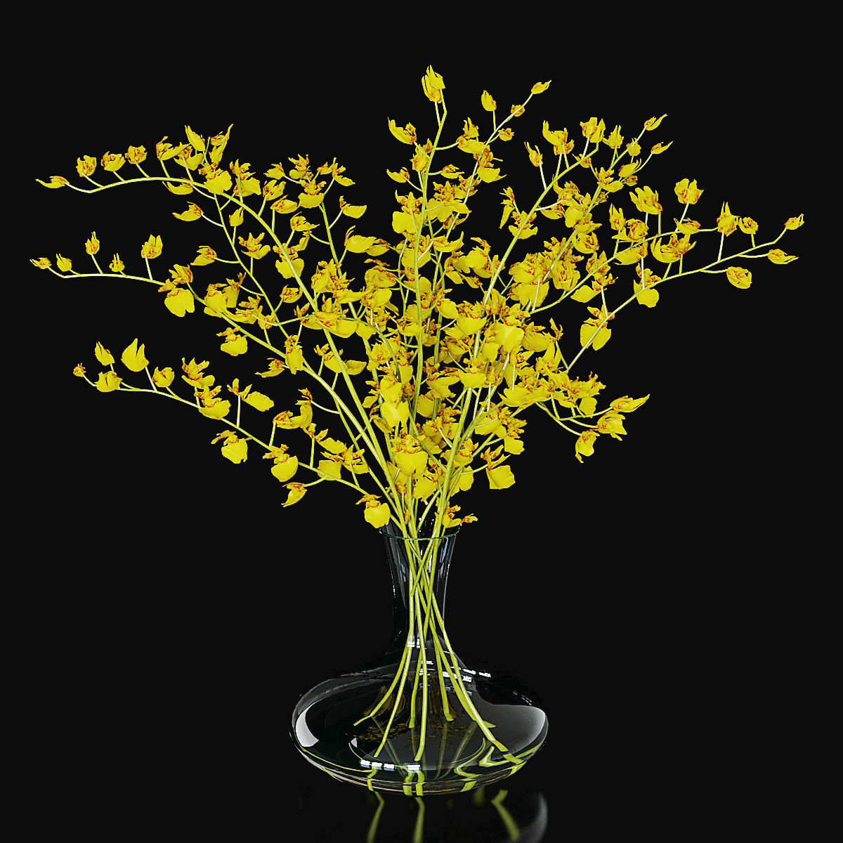 Orchid oncidium 3D model_2