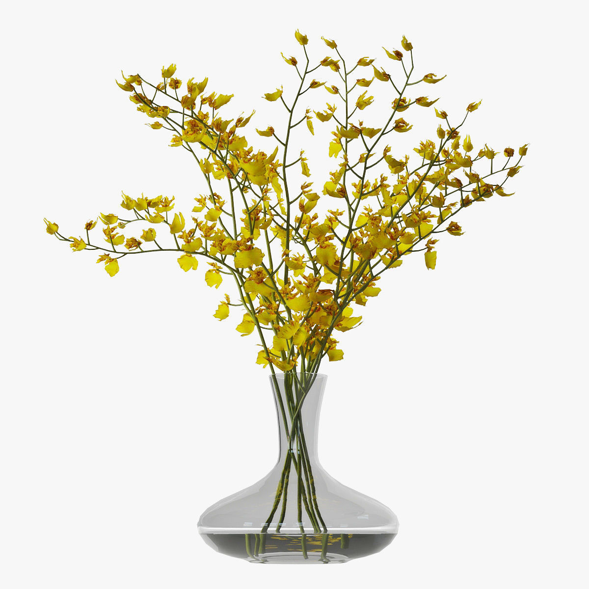Orchid oncidium 3D model_8
