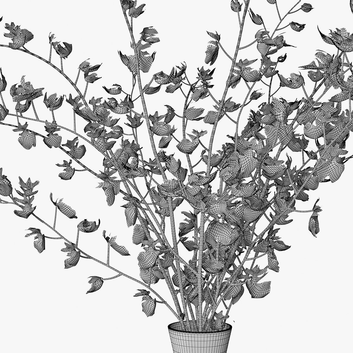 Orchid oncidium 3D model_16