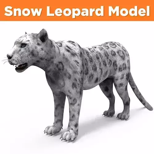 Game ready White Leopard 3D Low-poly 3D model