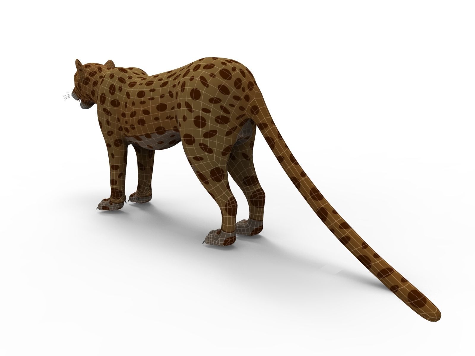 3D Cartoon Leopard low poly game ready Low-poly 3D model_21