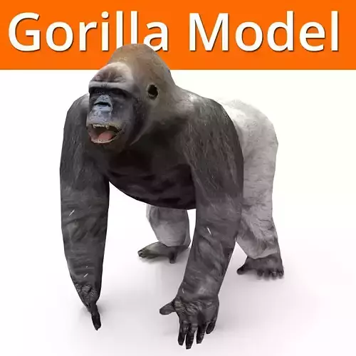 3D Model Gorilla game ready Low-poly 3D model
