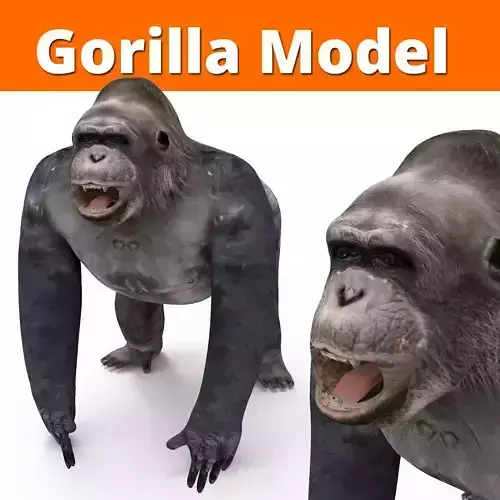 Gorilla  3D Models game ready low poly Low-poly 3D model