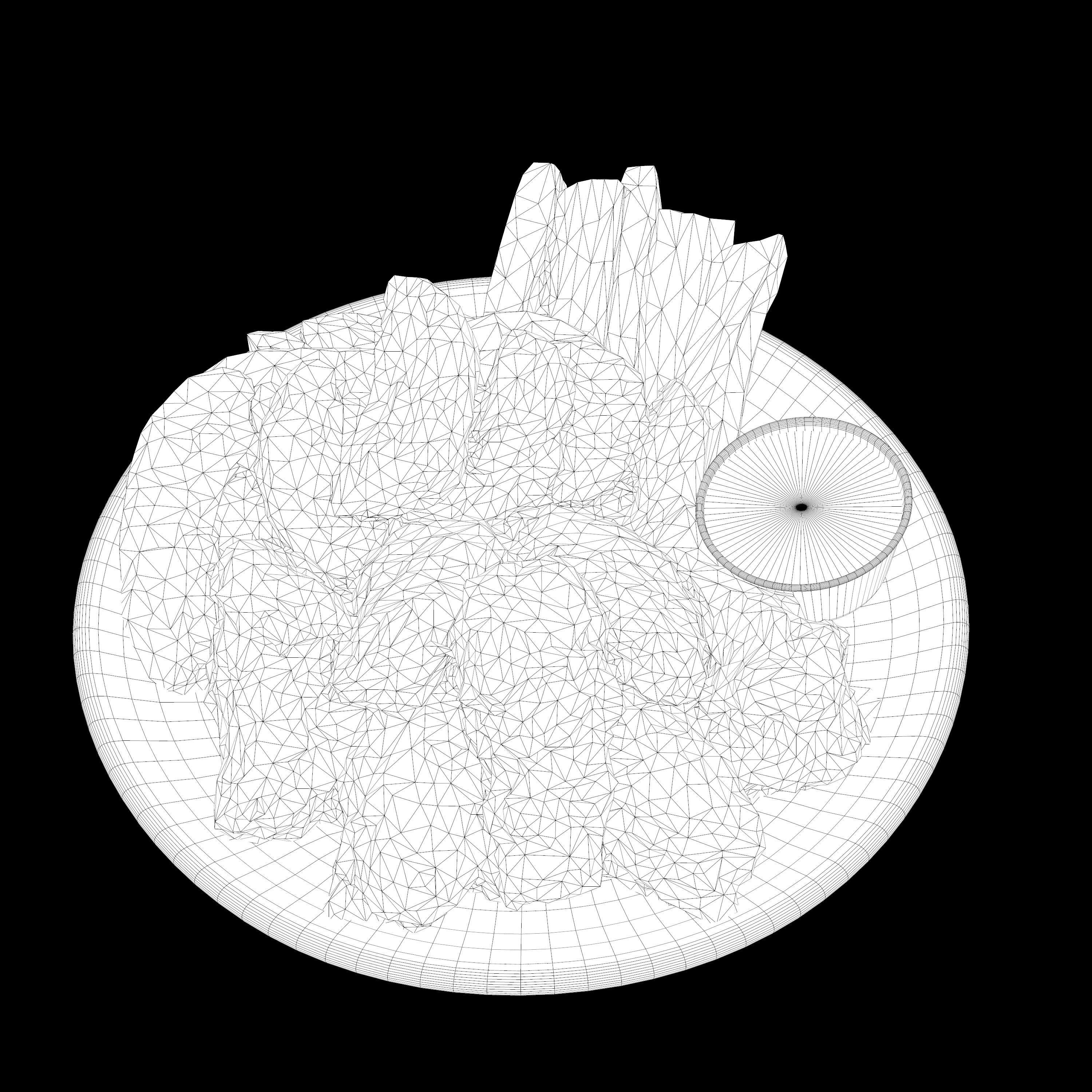 fried chicken with french fries Low-poly 3D Low-poly 3D model_11
