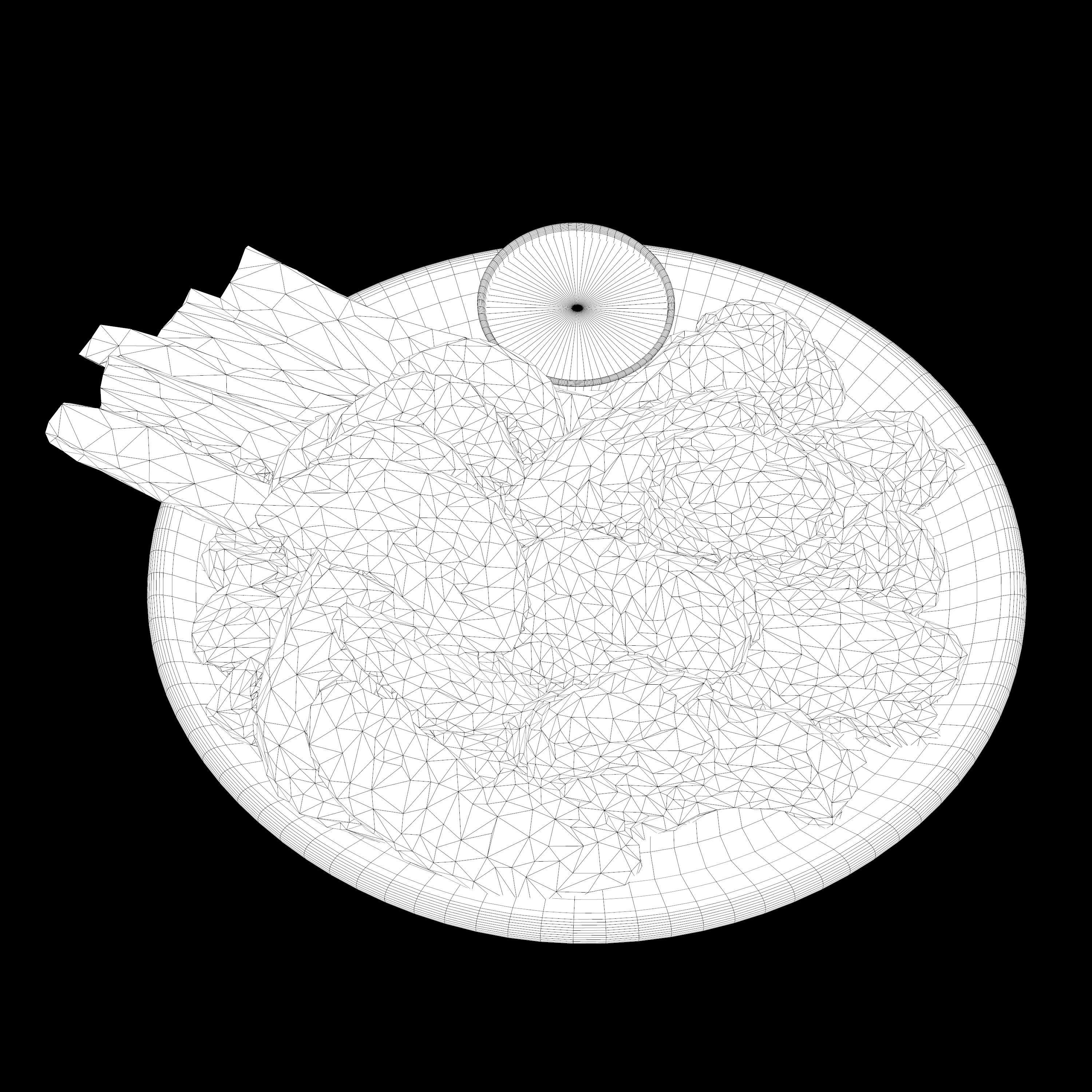 fried chicken with french fries Low-poly 3D Low-poly 3D model_12