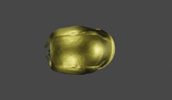 Helmet Illyrian 3D model_3