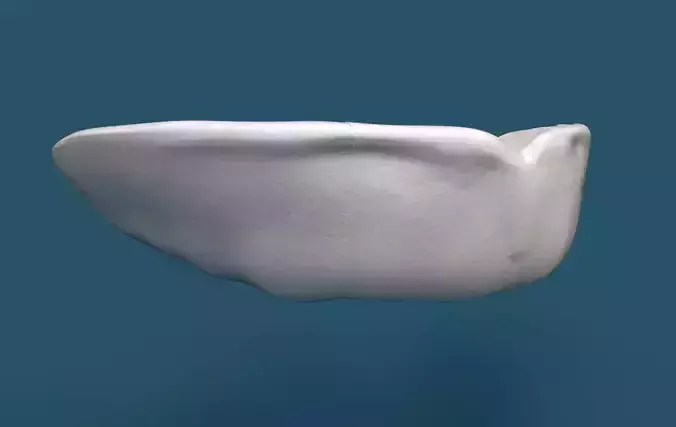 Mouthguard - LowPoly tooth