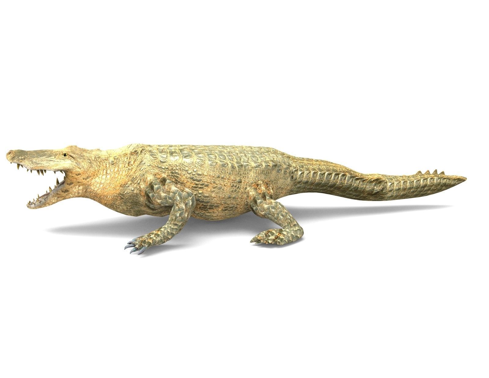 3D african crocodile alligator Low-poly 3D model_6