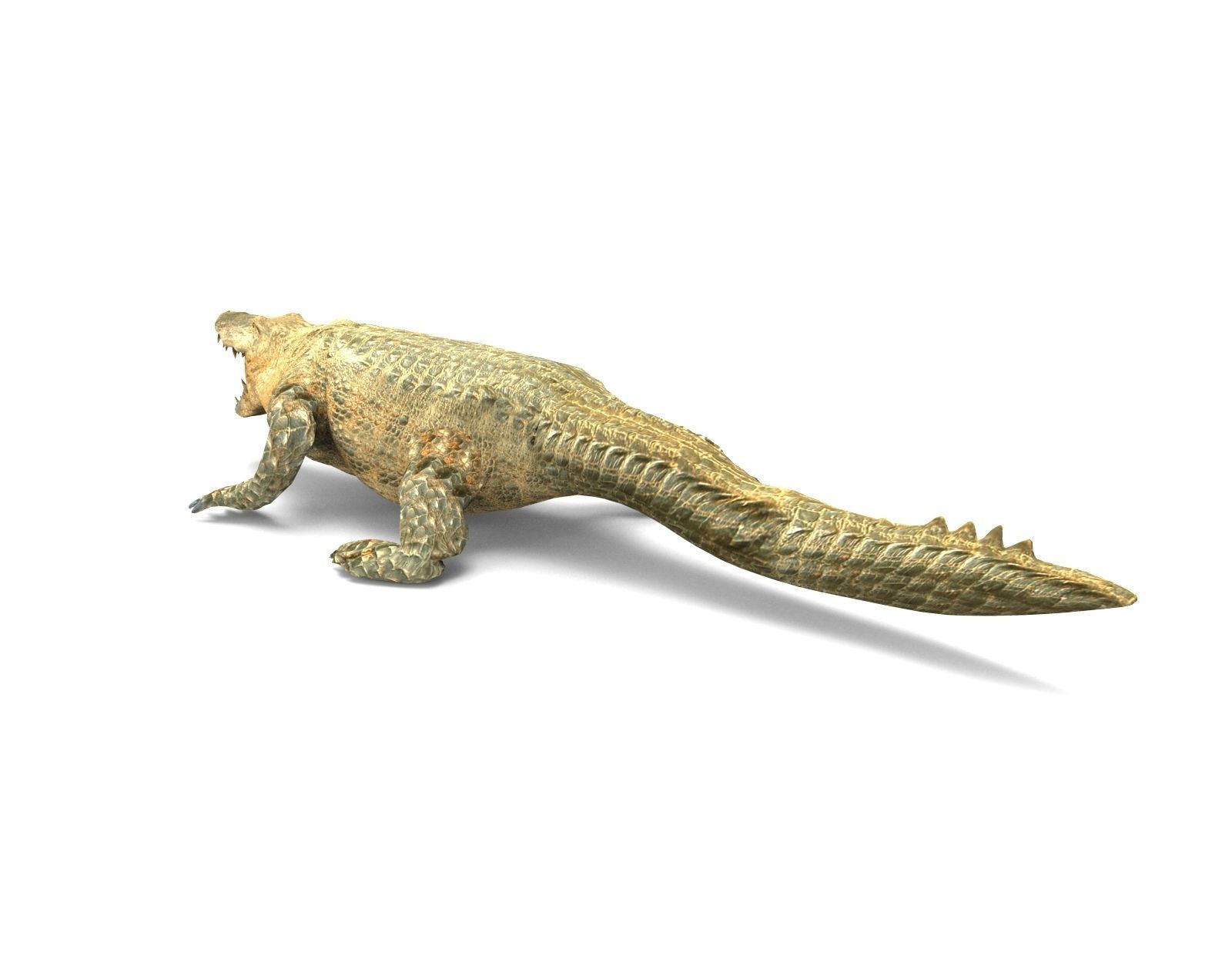 3D african crocodile alligator Low-poly 3D model_4