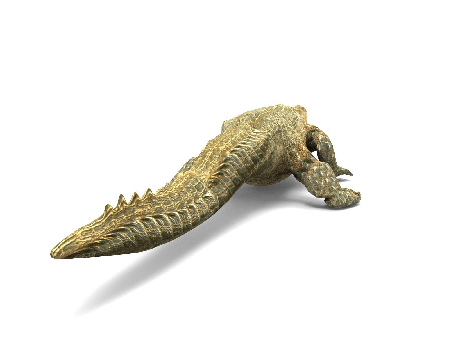3D african crocodile alligator Low-poly 3D model_9