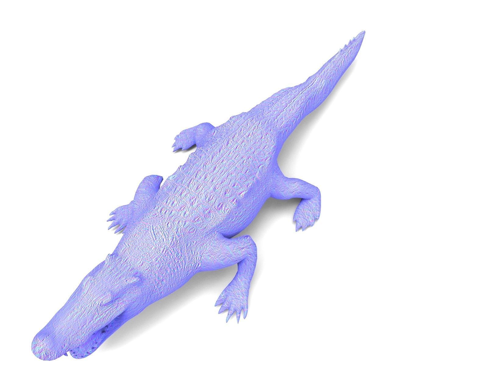 3D african crocodile alligator Low-poly 3D model_21