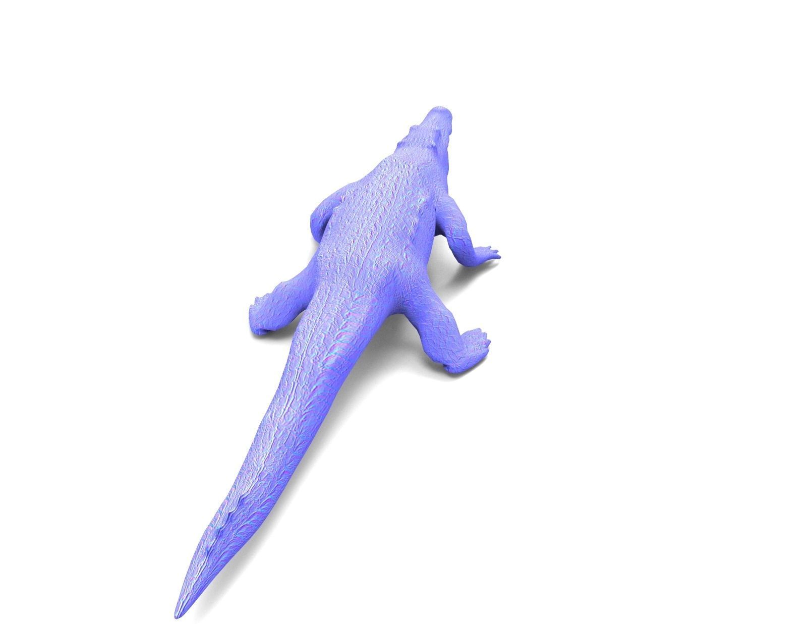 3D african crocodile alligator Low-poly 3D model_23