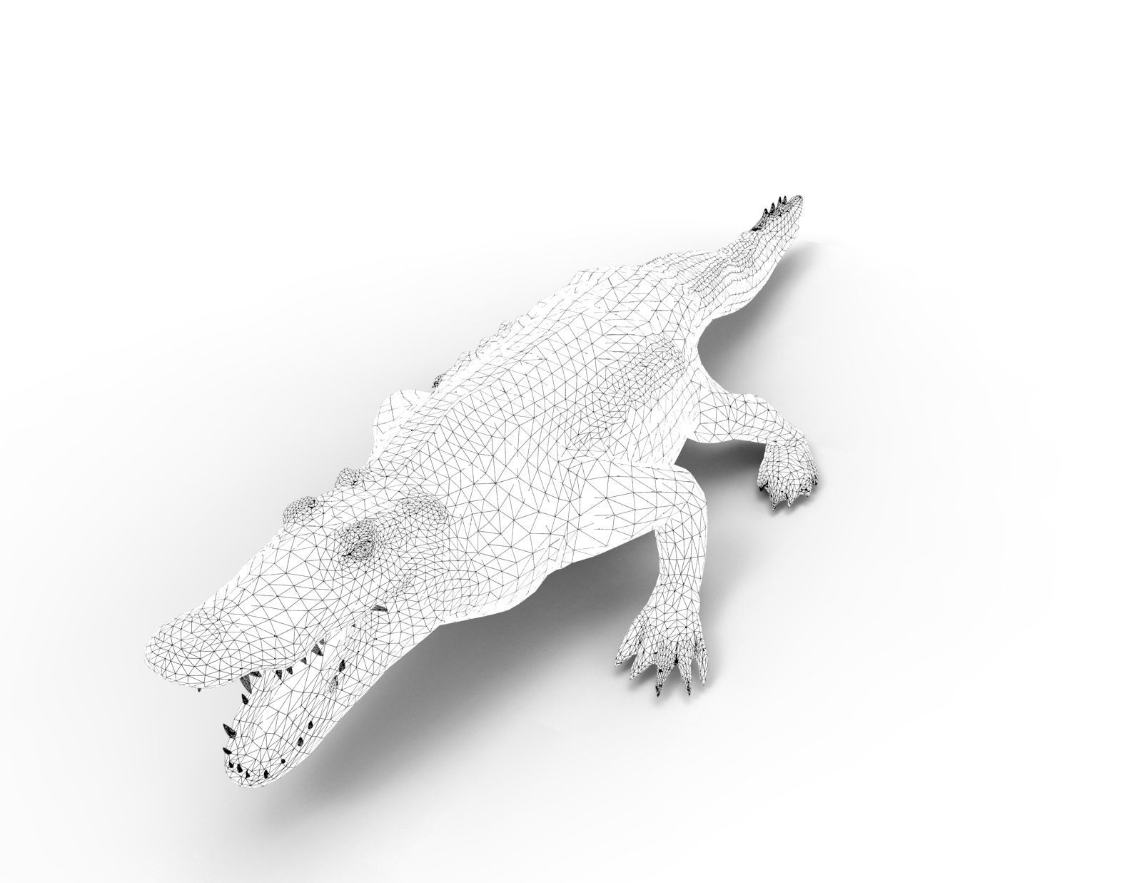 Crocodile 3D Models game ready low poly Low-poly 3D model_19