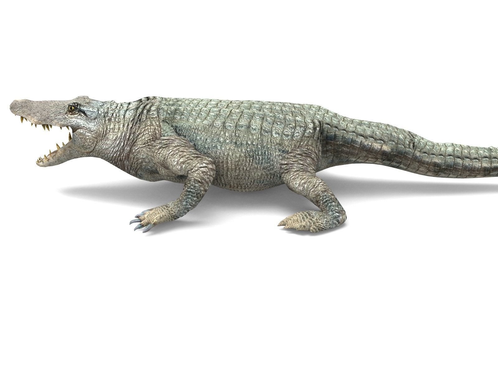 Crocodile 3D Models game ready low poly Low-poly 3D model_6