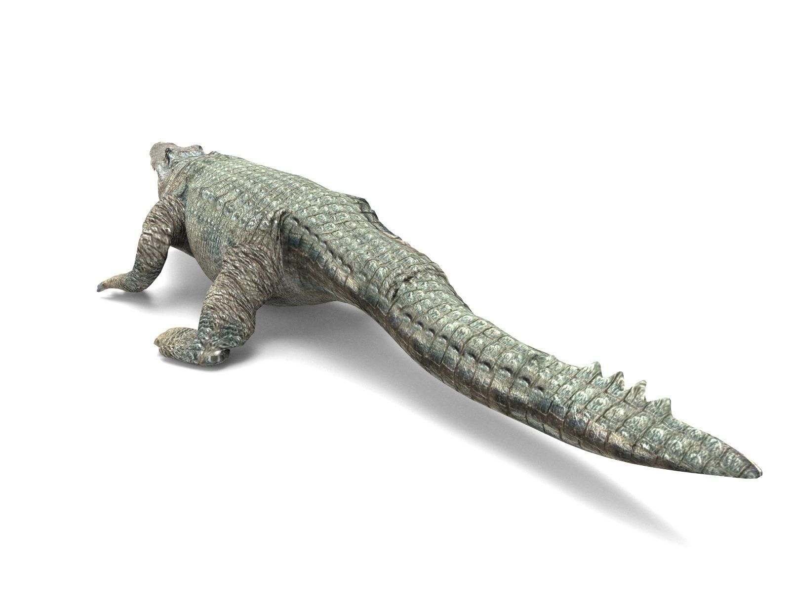 Crocodile 3D Models game ready low poly Low-poly 3D model_4