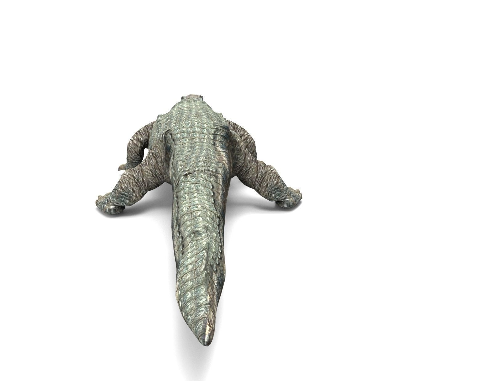 Crocodile 3D Models game ready low poly Low-poly 3D model_5