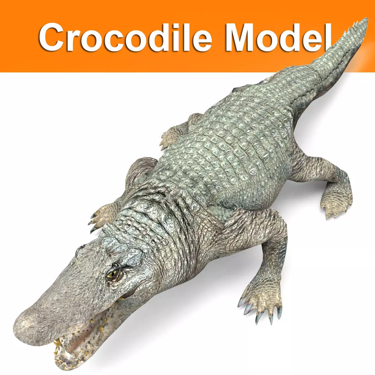 Crocodile 3D Models game ready low poly Low-poly 3D model_0