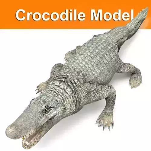 Crocodile 3D Models game ready low poly Low-poly 3D model
