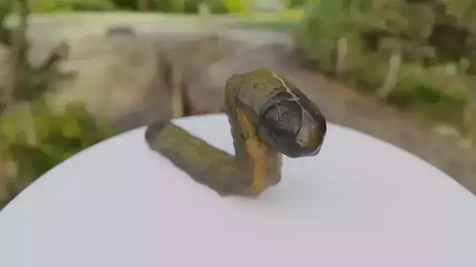 Young Fall Armyworm Low-poly 3D model