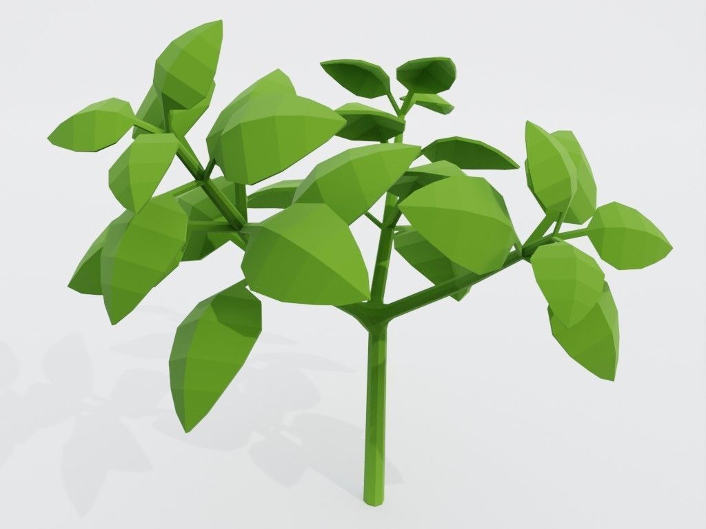 Low poly set of vegetables Low-poly 3D model_14