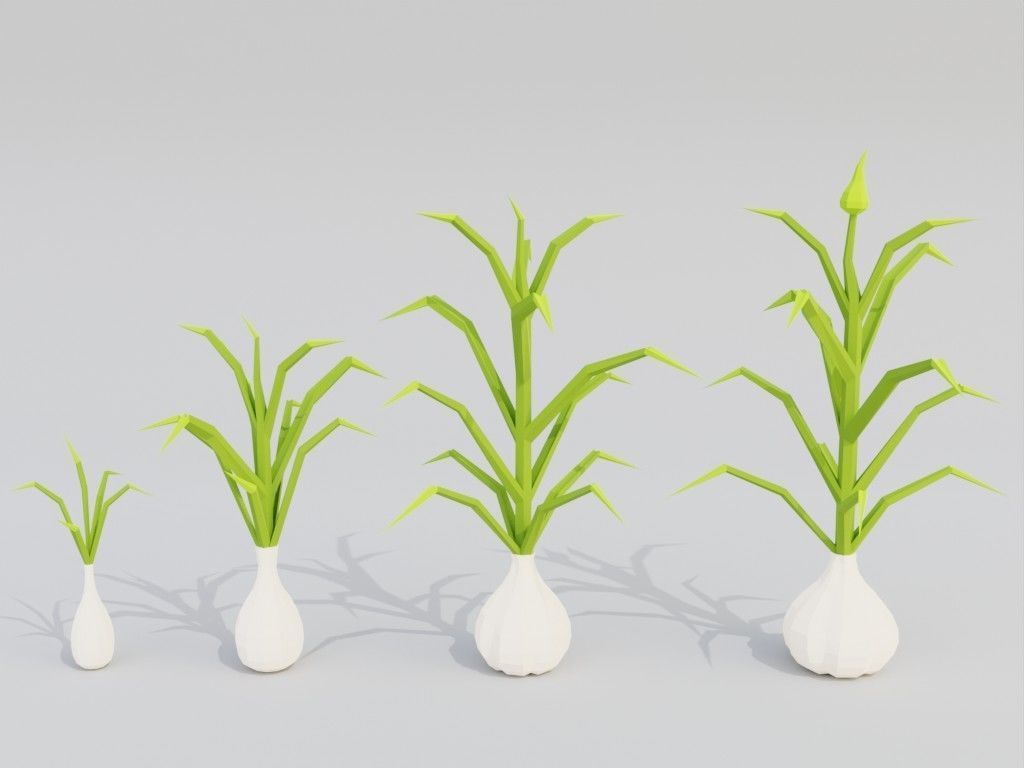 Low poly set of vegetables Low-poly 3D model_43