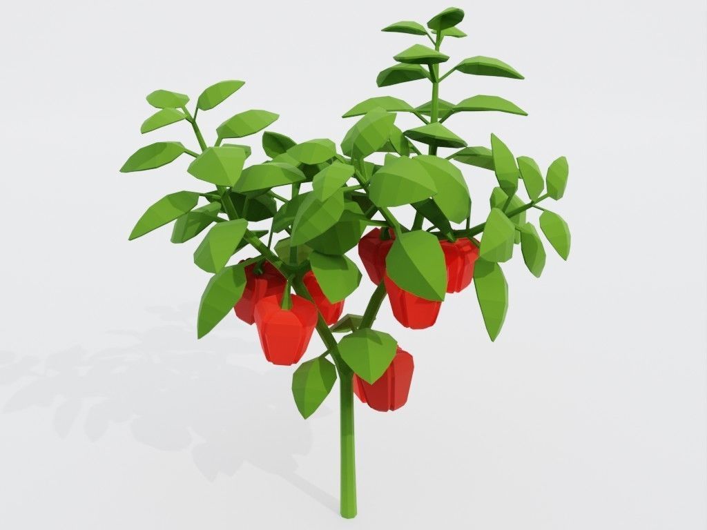Low poly set of vegetables Low-poly 3D model_11