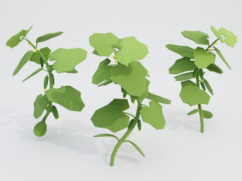 Low poly set of vegetables Low-poly 3D model_35