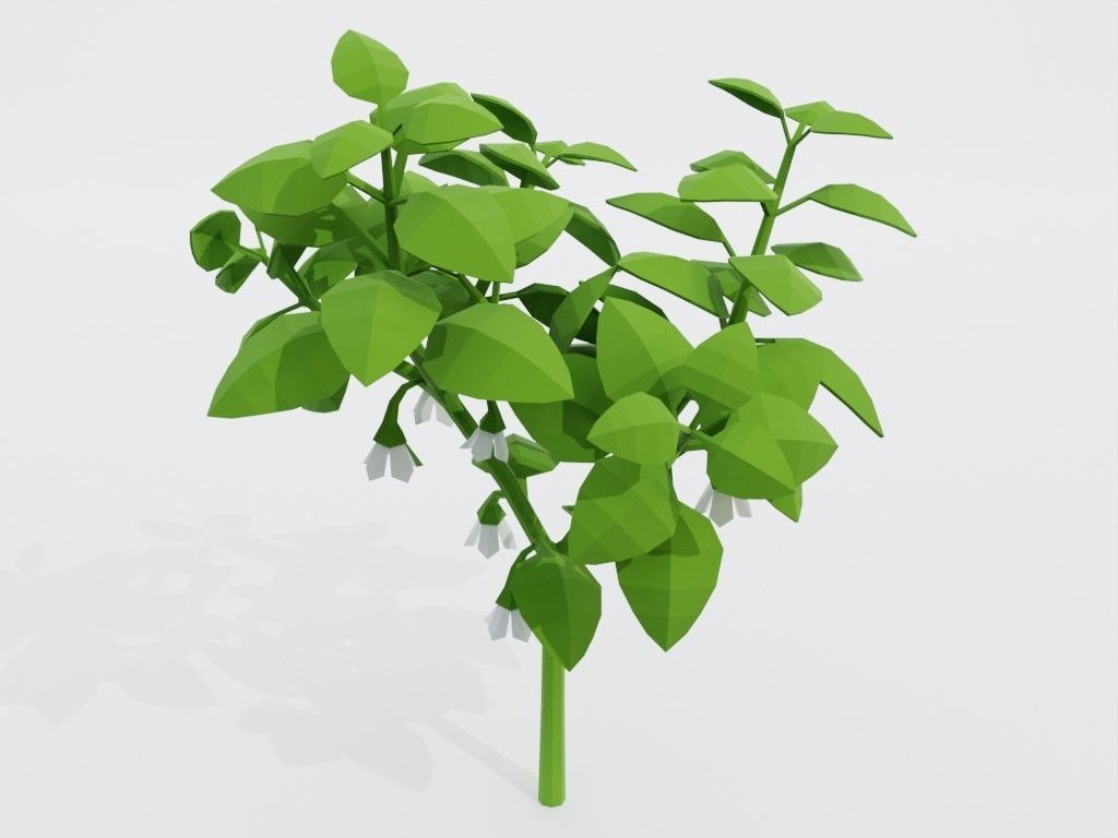 Low poly set of vegetables Low-poly 3D model_12