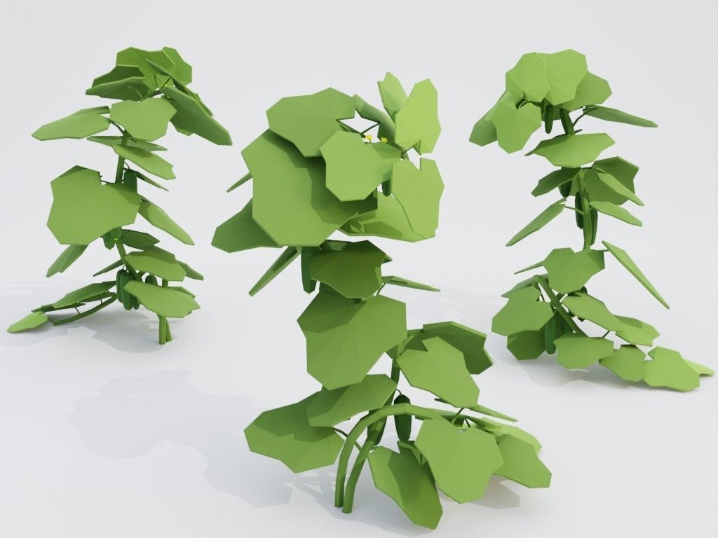 Low poly set of vegetables Low-poly 3D model_32