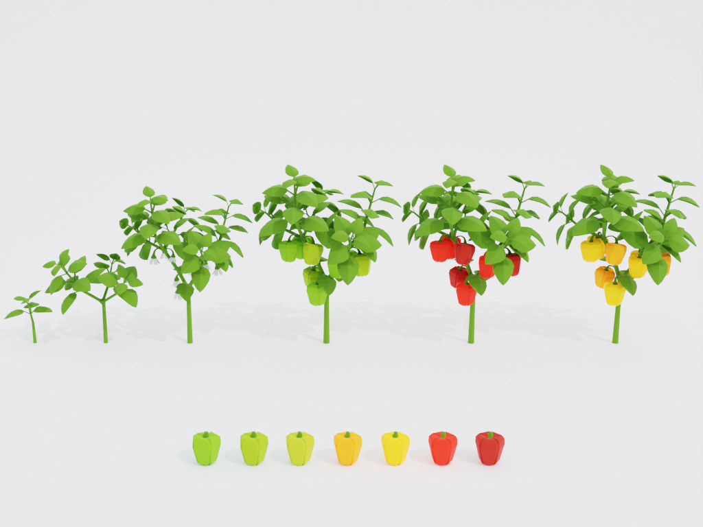 Low poly set of vegetables Low-poly 3D model_10