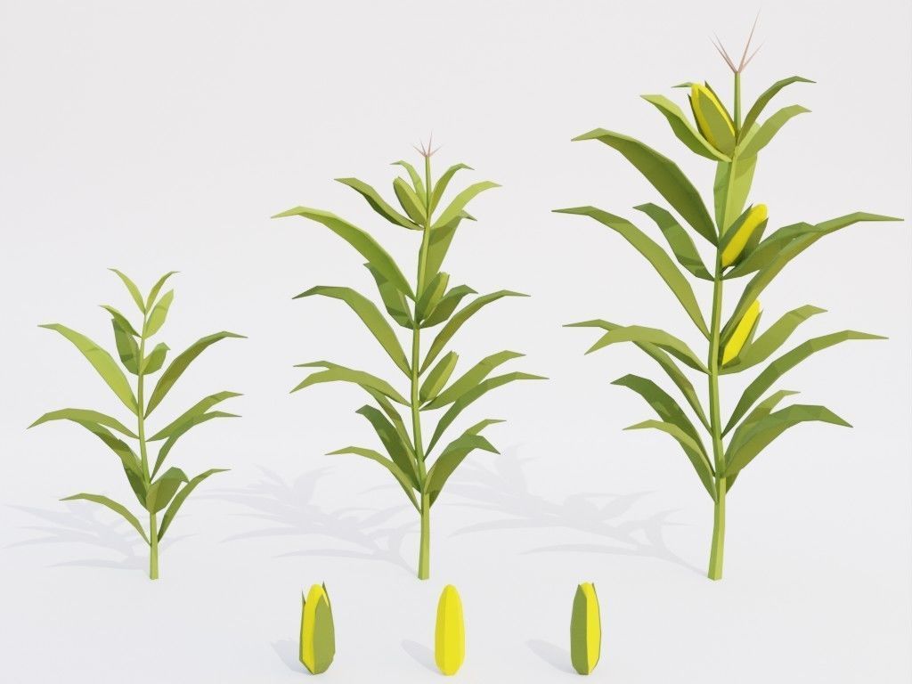 Low poly set of vegetables Low-poly 3D model_4