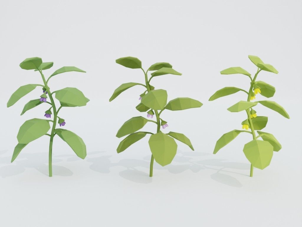 Low poly set of vegetables Low-poly 3D model_41